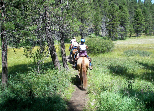 crossing mcgurk meadow in yosemite horseback riding